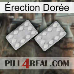 Érection Dorée 17